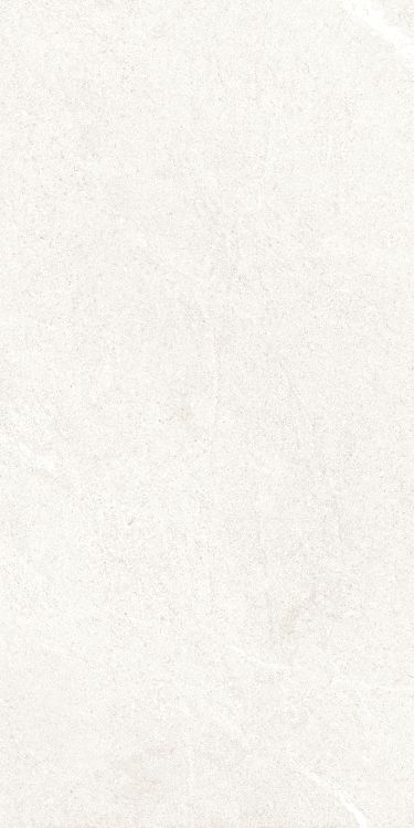 Dhara White Matte 12 x 24